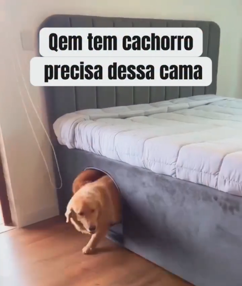 cama de casal com nicho embutido na lateral para cachorro dormir
