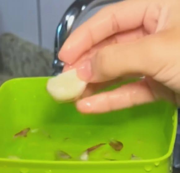 truque para descascar alho rápido com vasilha e água